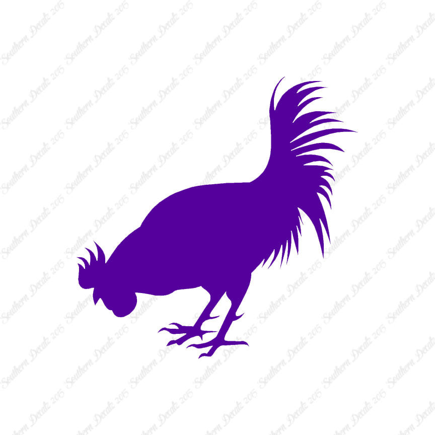 Chicken Rooster Poultry