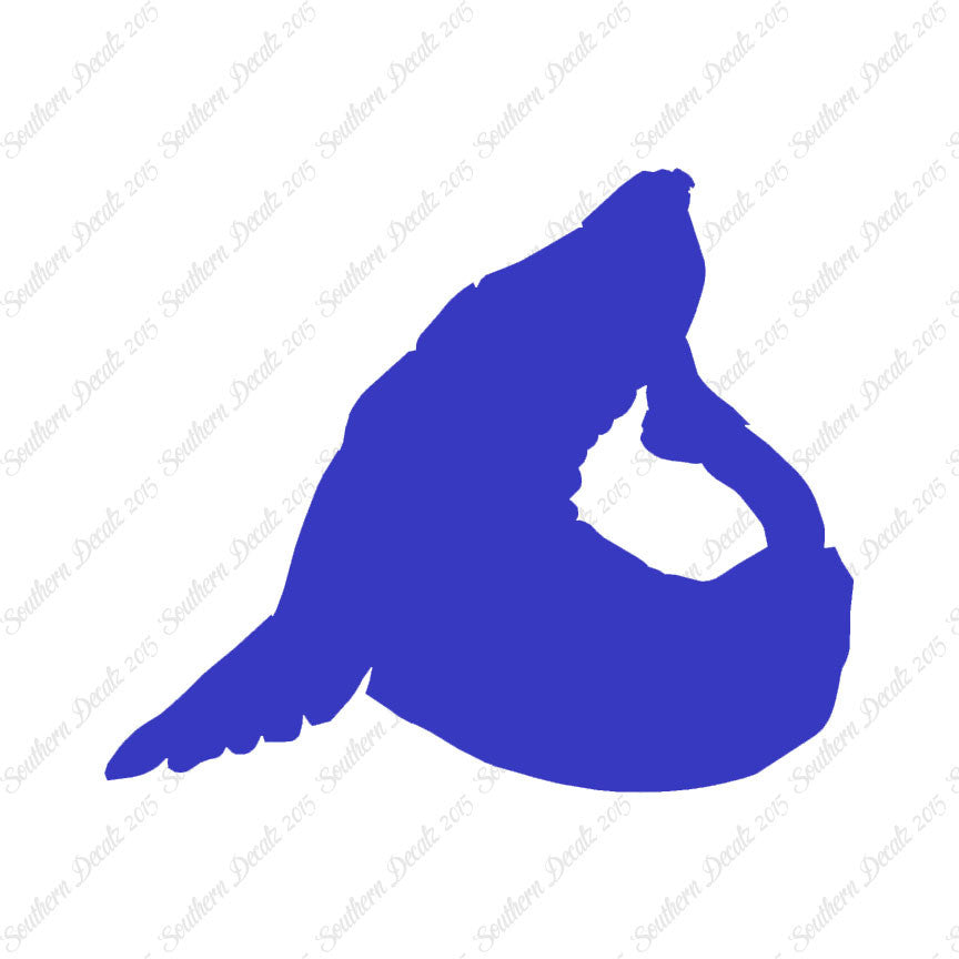 Sea Lion Seal