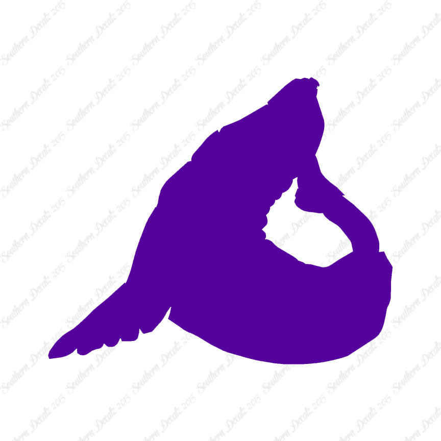 Sea Lion Seal