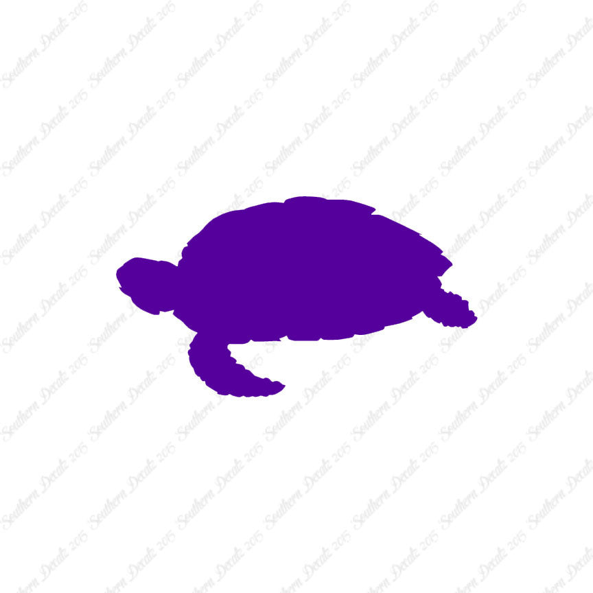 Sea Turtle Tortoise