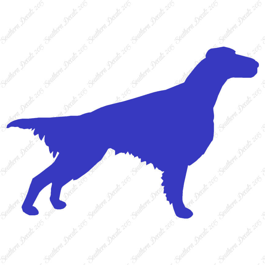 Setter Dog Breed