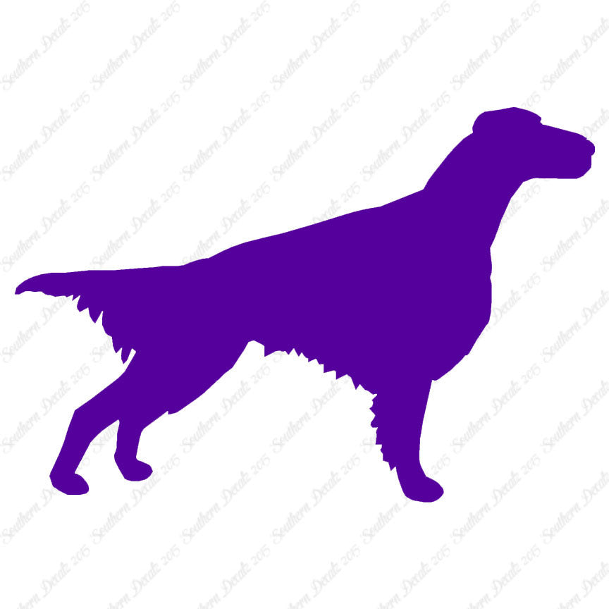 Setter Dog Breed