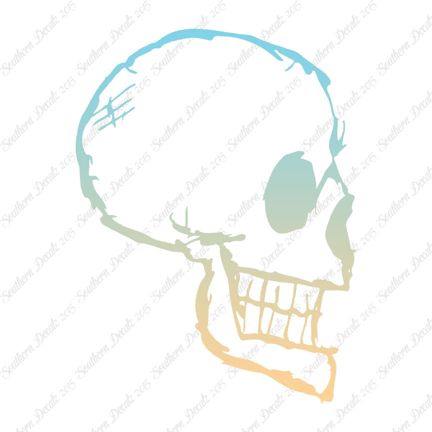 Skull Drawing Art