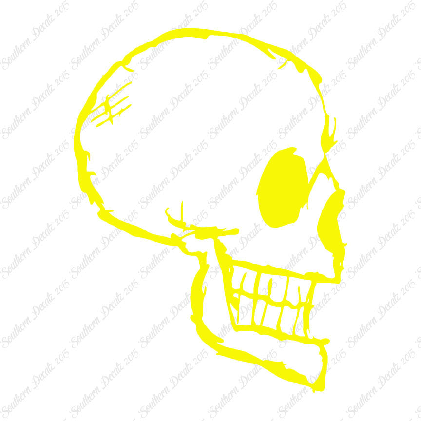 Skull Drawing Art