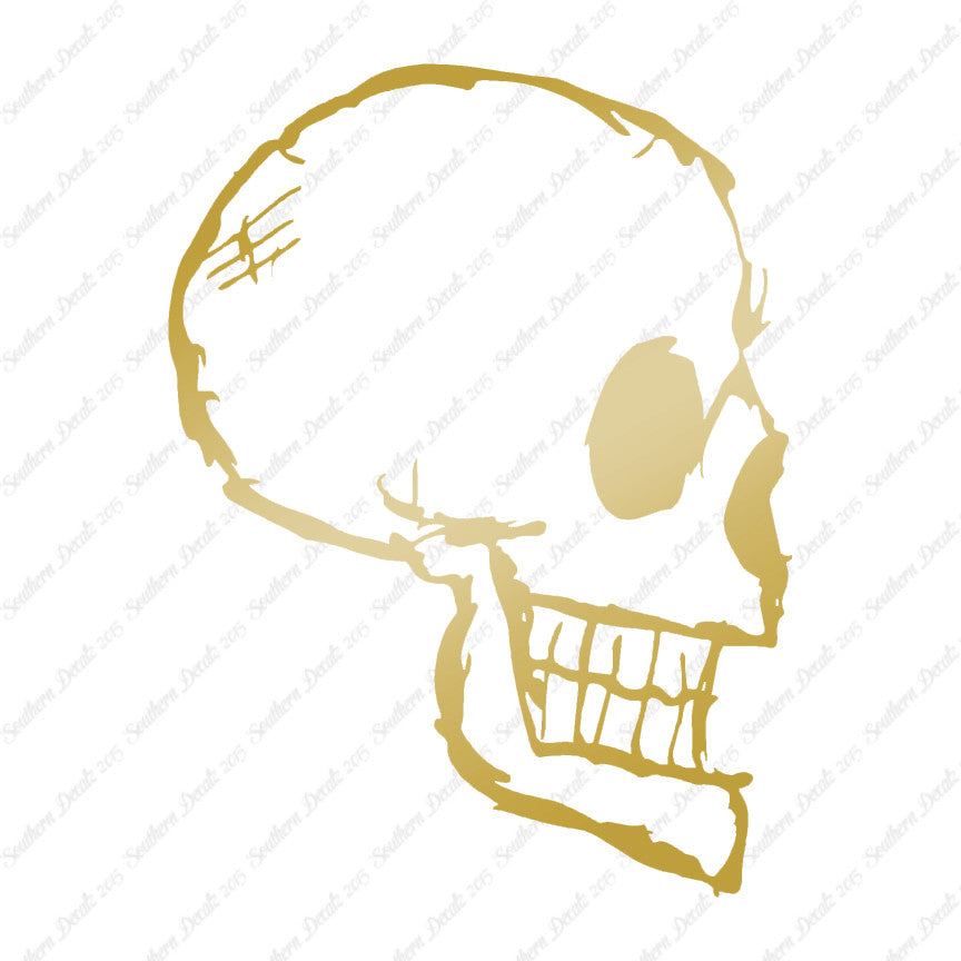 Skull Drawing Art