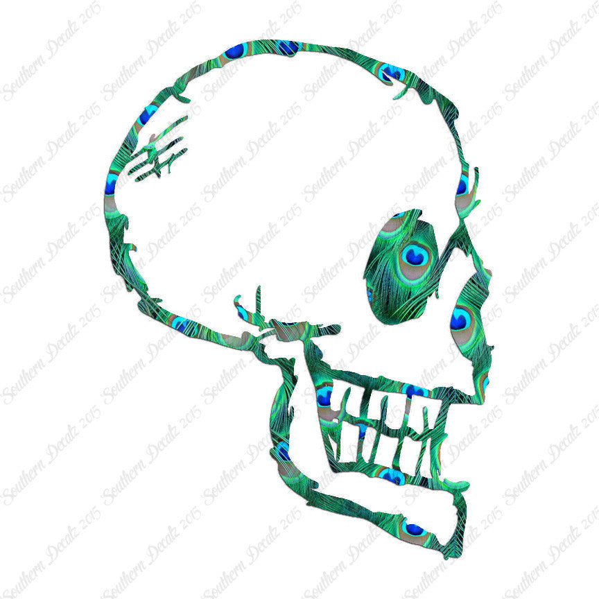 Skull Drawing Art