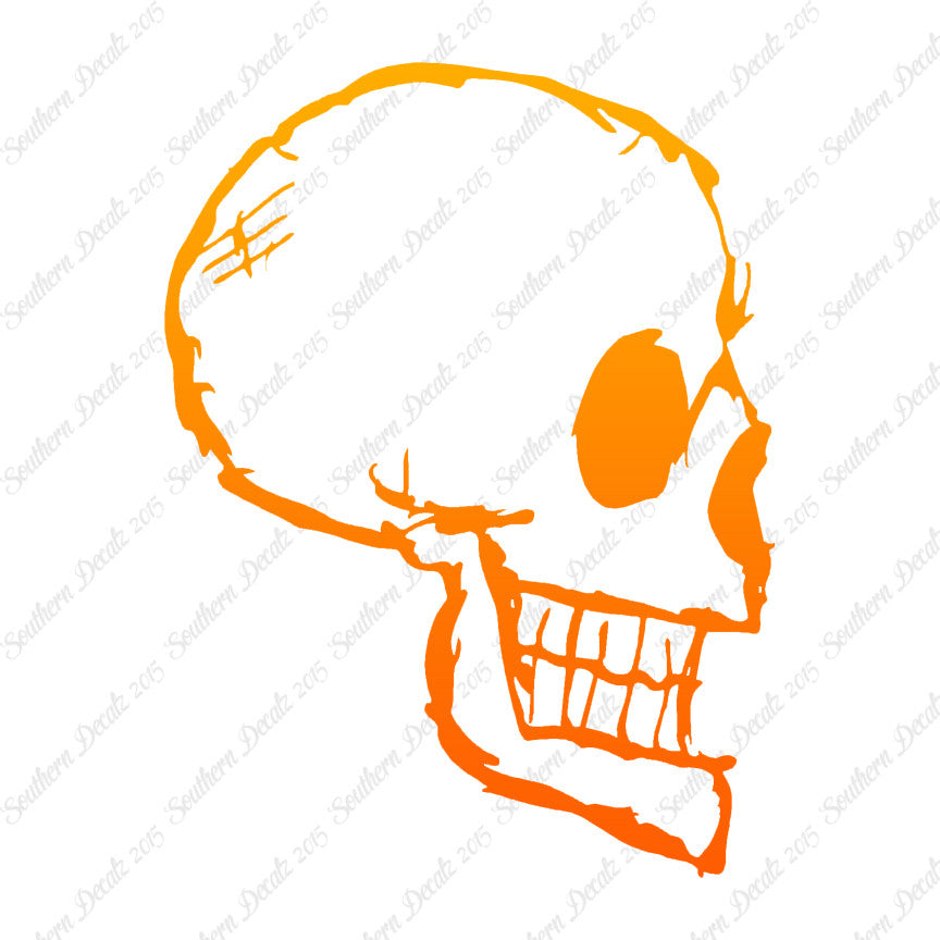 Skull Drawing Art