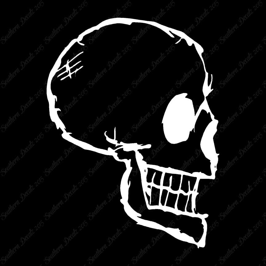 Skull Drawing Art