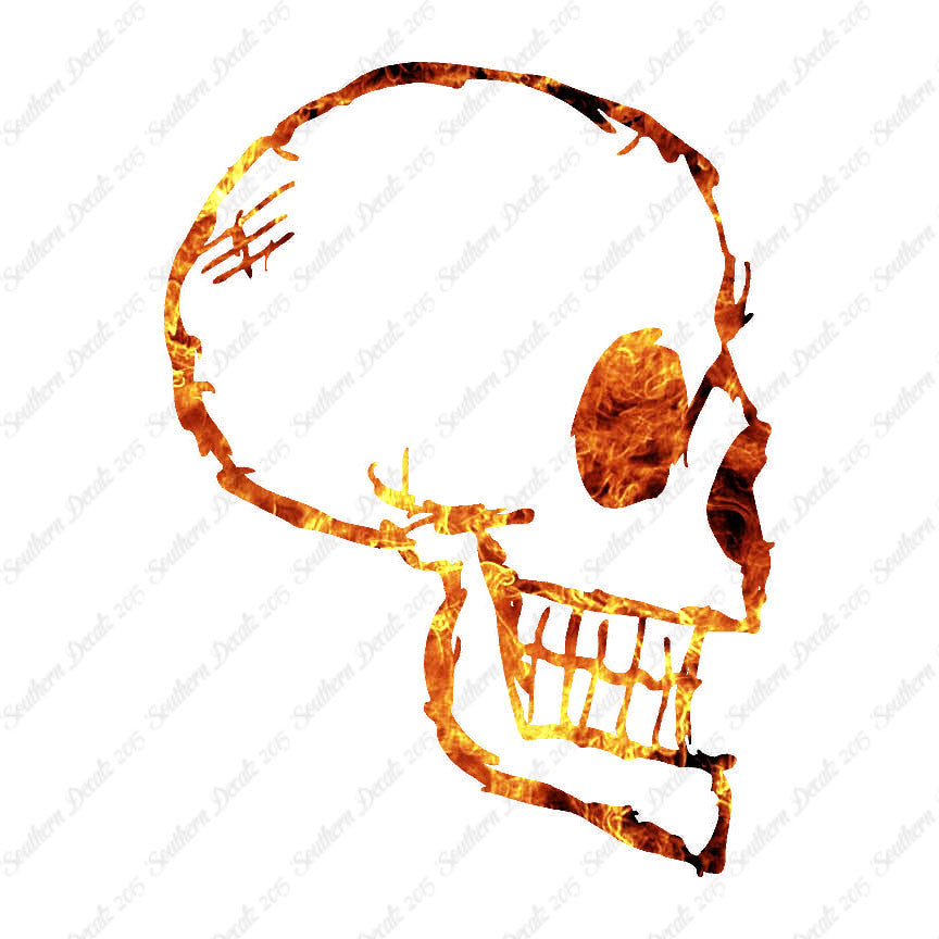 Skull Drawing Art