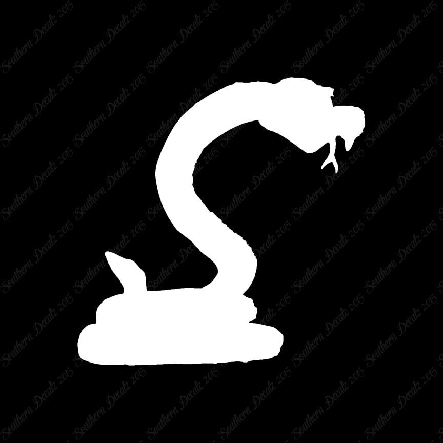 Snake Cobra Rattlesnake