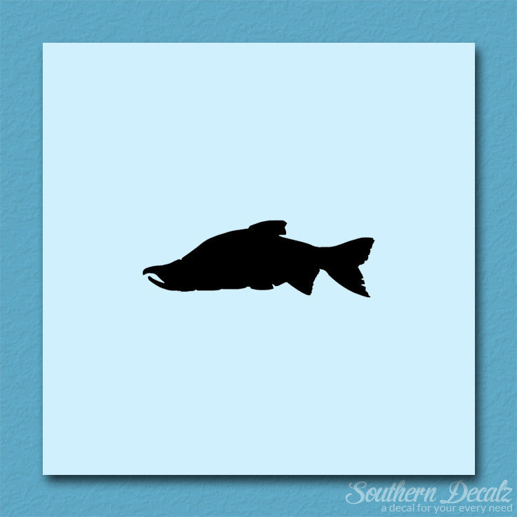 Salmon Sockeye Fish