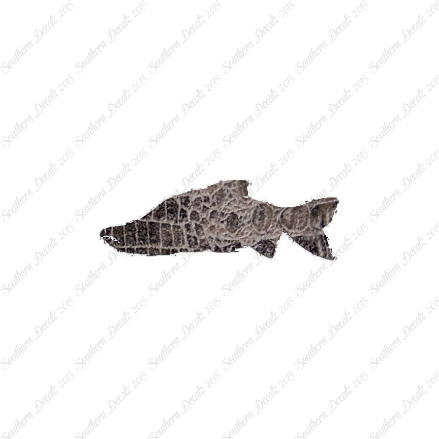 Salmon Sockeye Fish