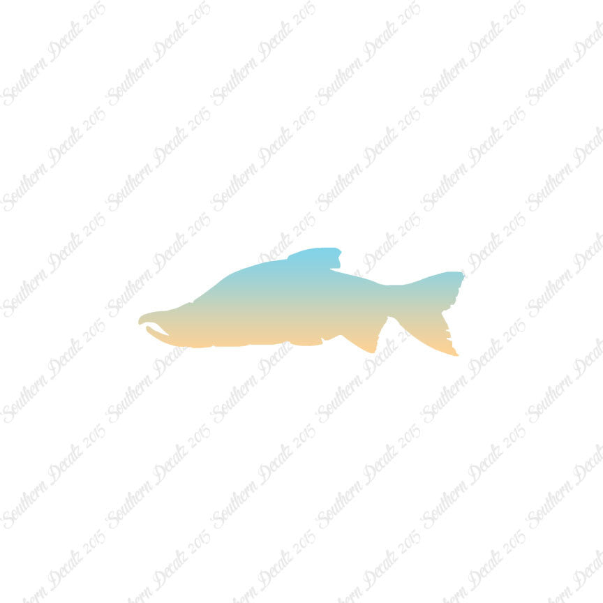 Salmon Sockeye Fish