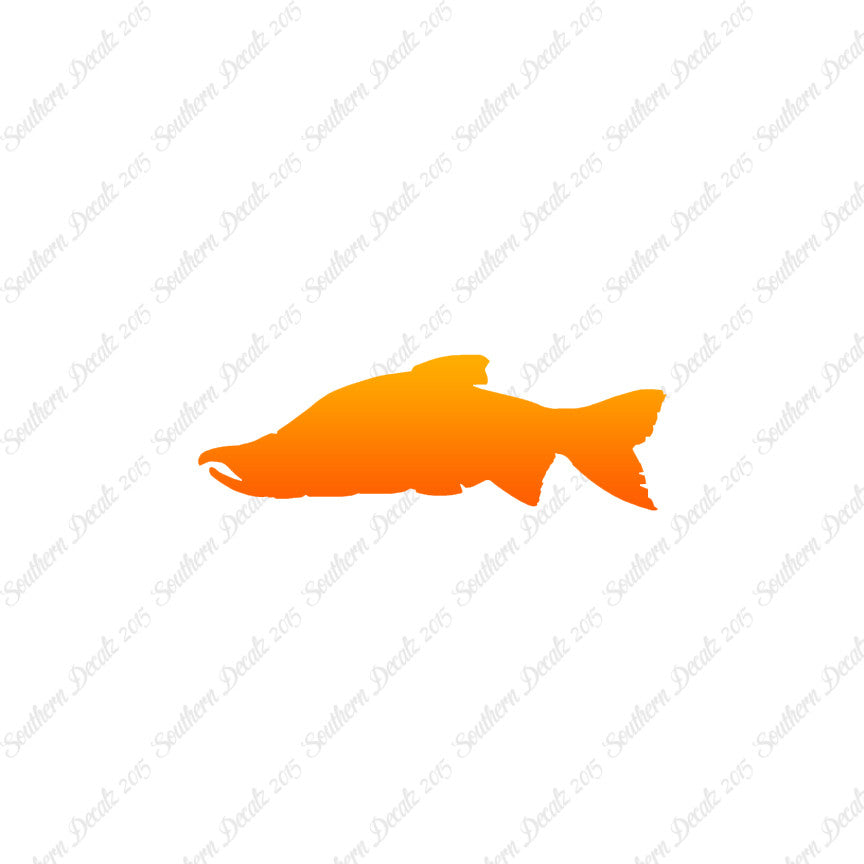 Salmon Sockeye Fish