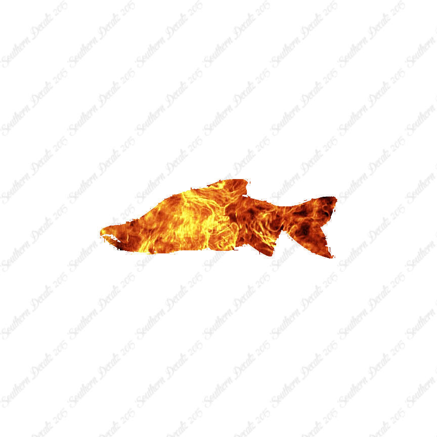 Salmon Sockeye Fish