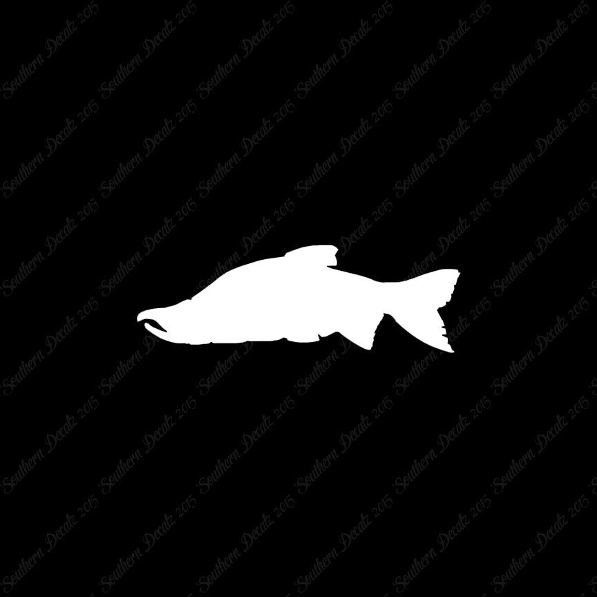 Salmon Sockeye Fish
