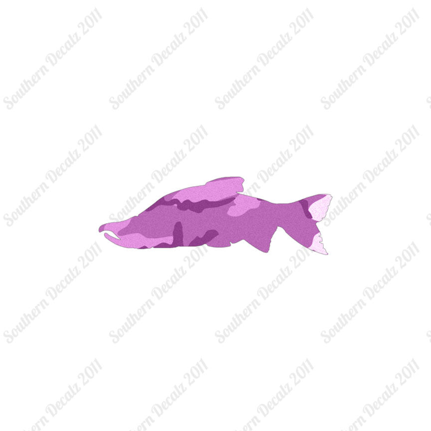 Salmon Sockeye Fish