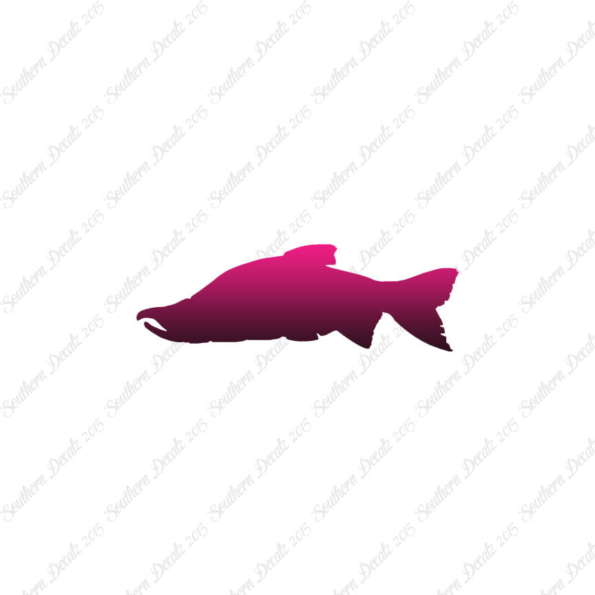 Salmon Sockeye Fish