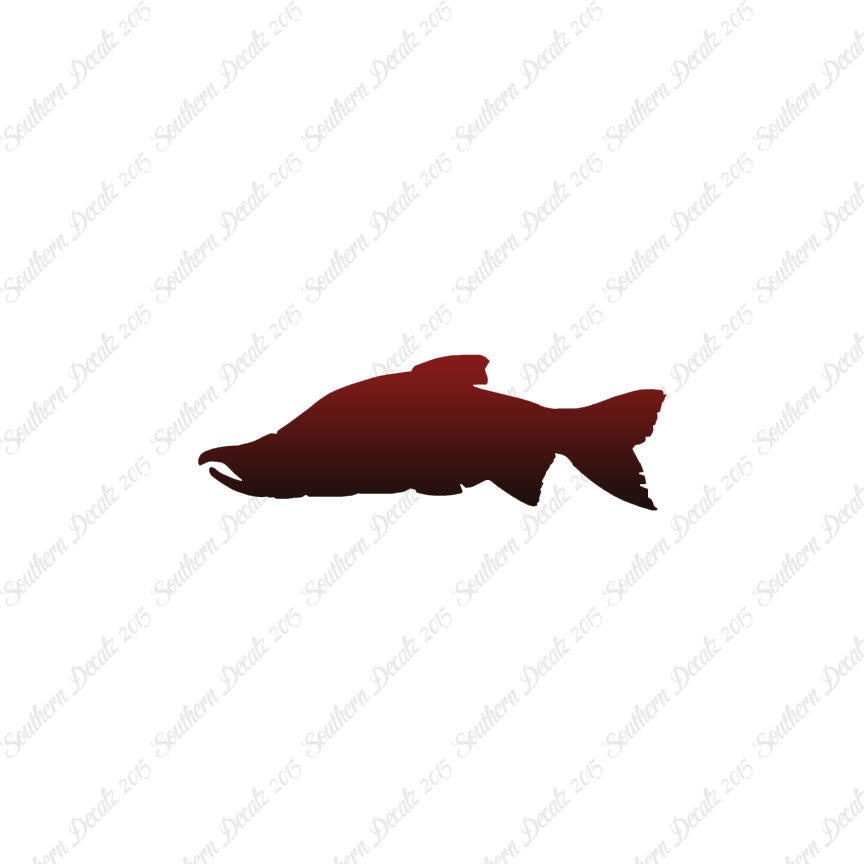 Salmon Sockeye Fish