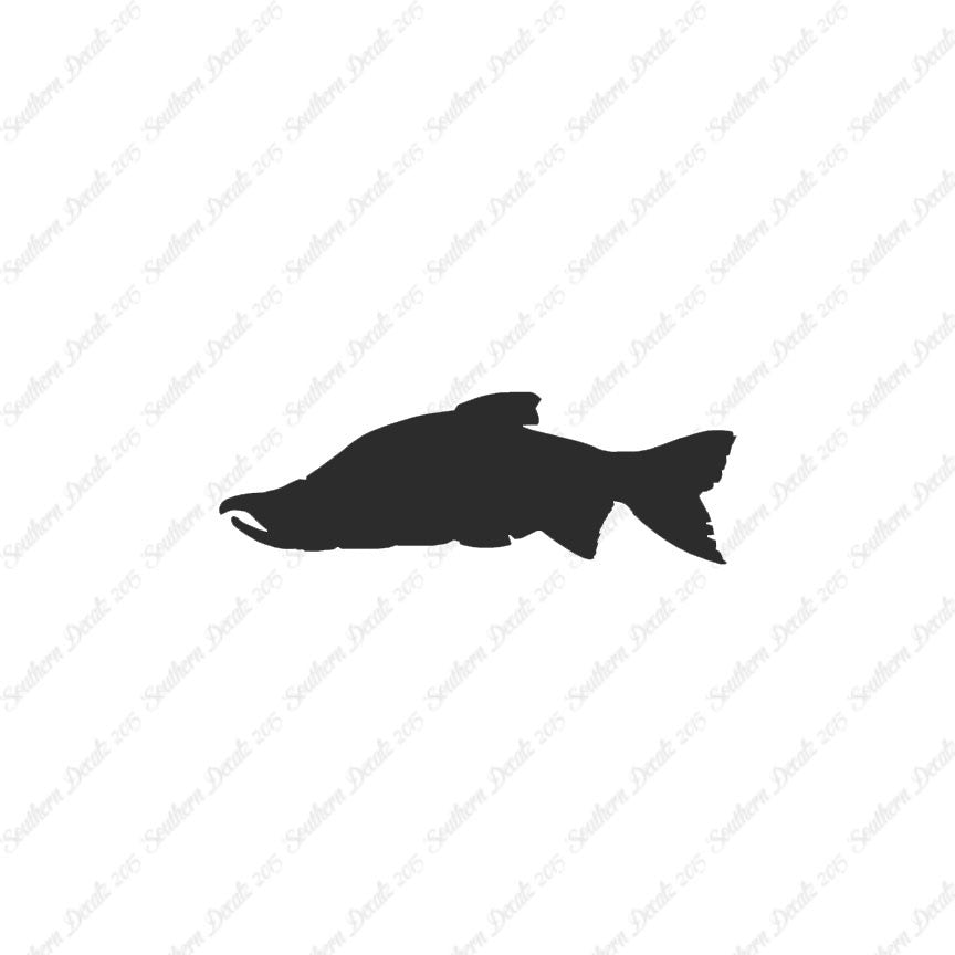 Salmon Sockeye Fish