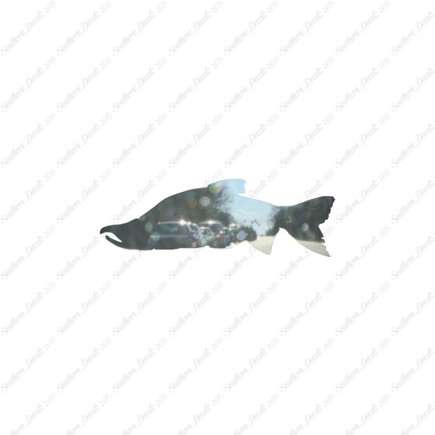 Salmon Sockeye Fish