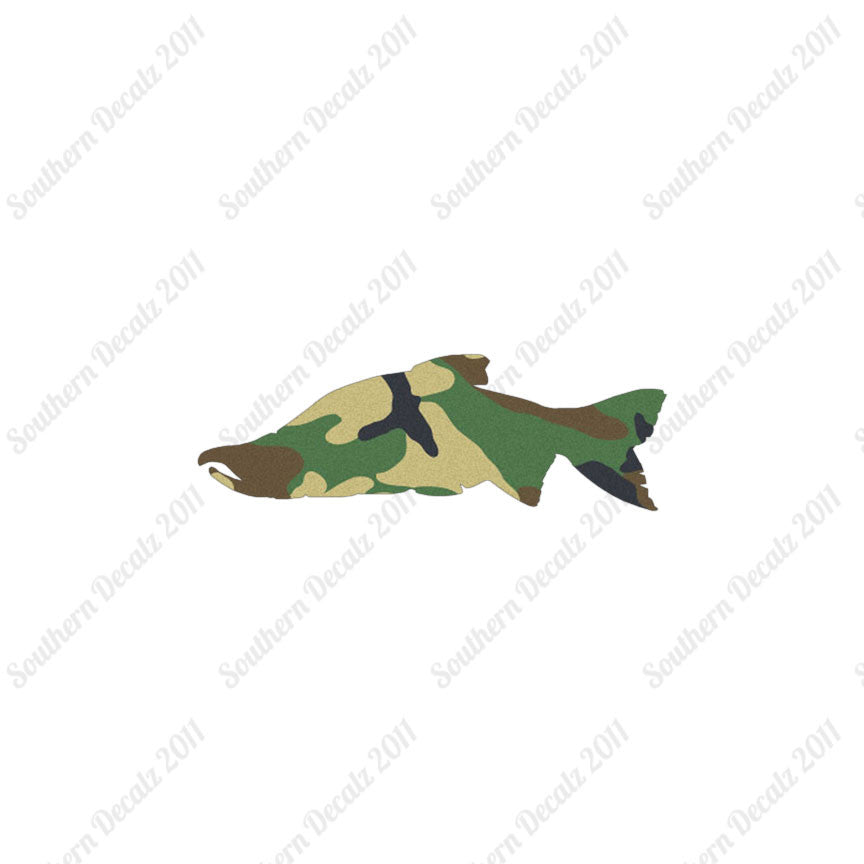 Salmon Sockeye Fish
