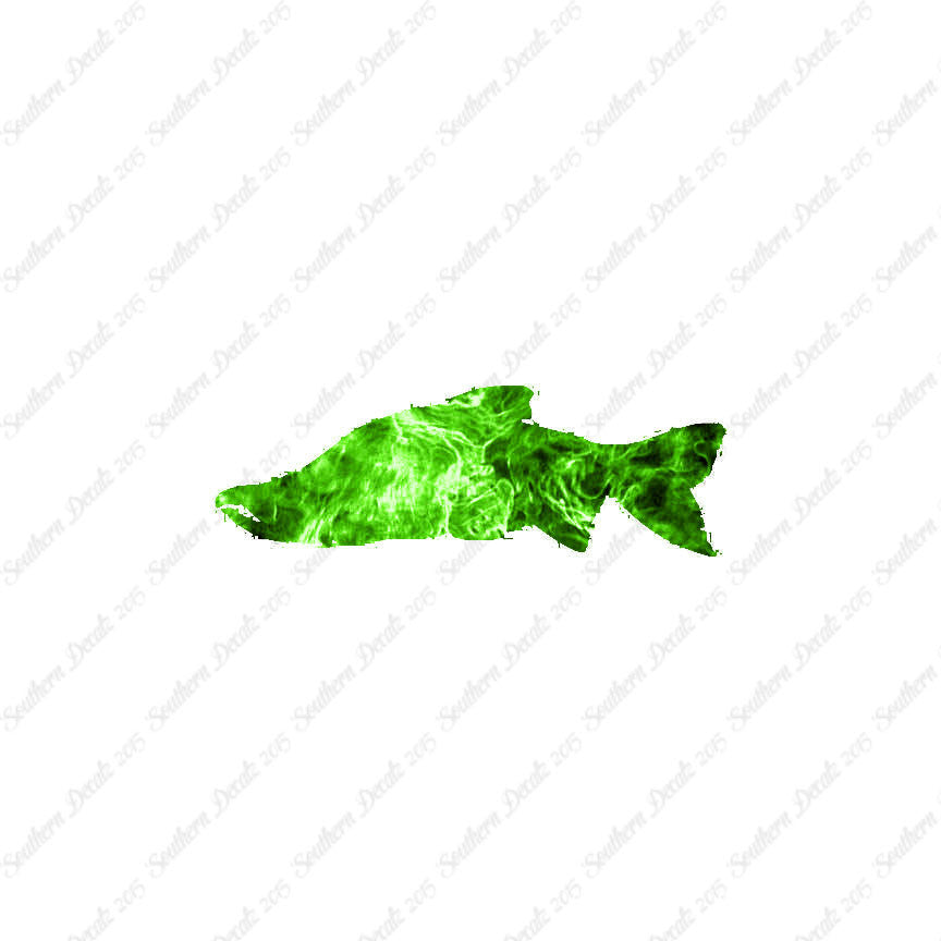 Salmon Sockeye Fish