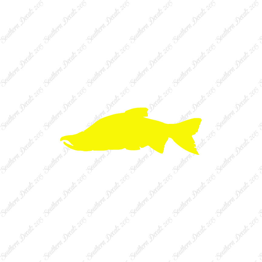 Salmon Sockeye Fish