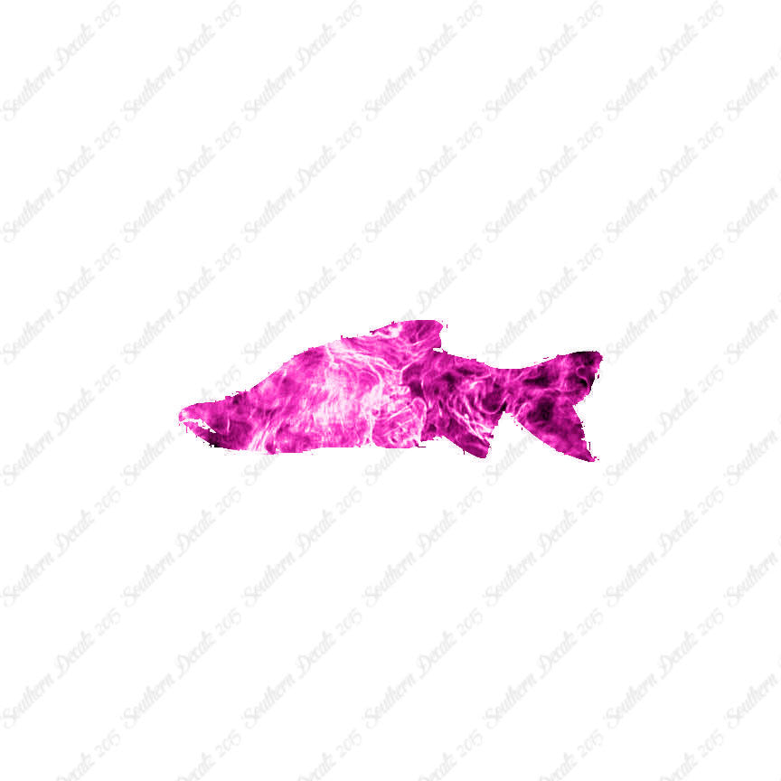 Salmon Sockeye Fish