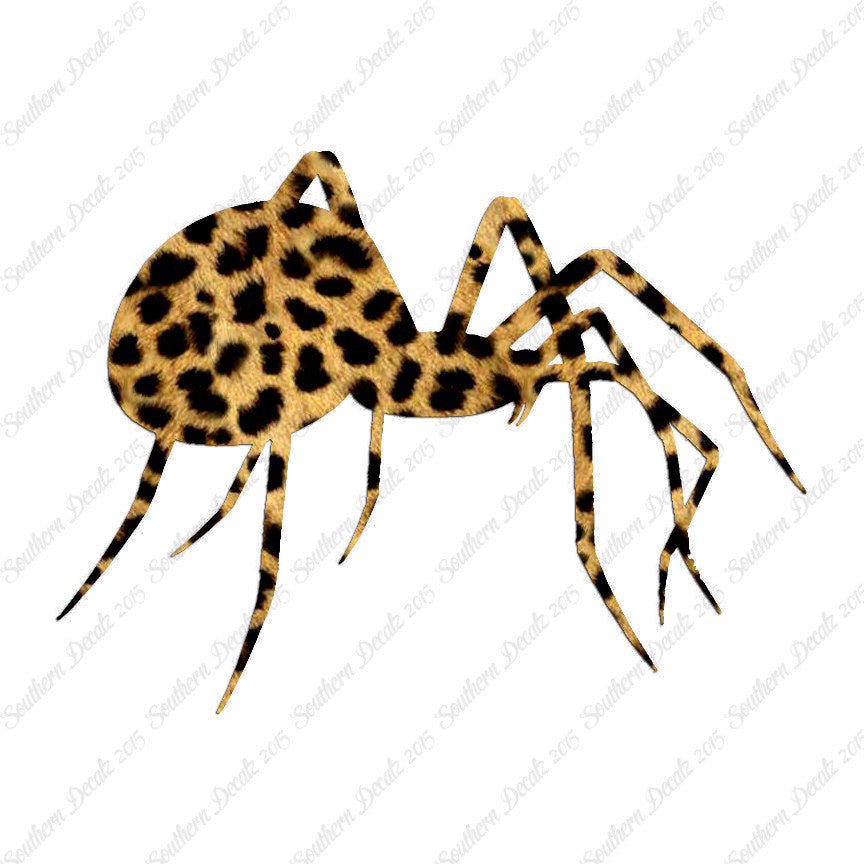 Spider Black Widow