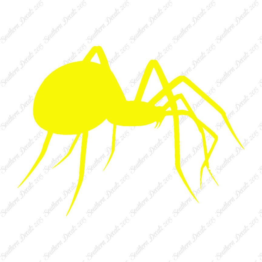 Spider Black Widow