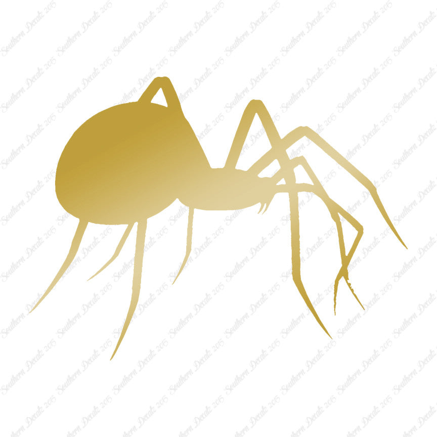 Spider Black Widow
