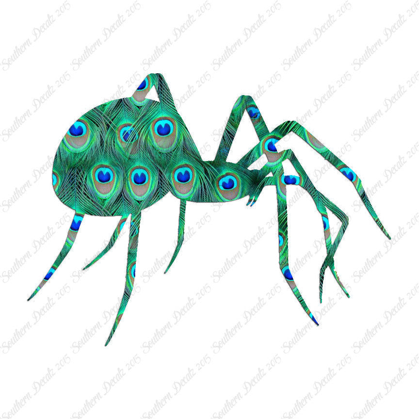 Spider Black Widow