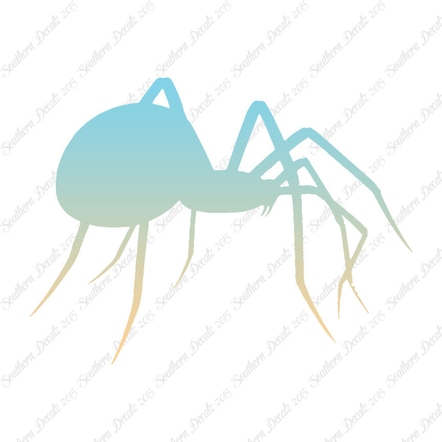 Spider Black Widow