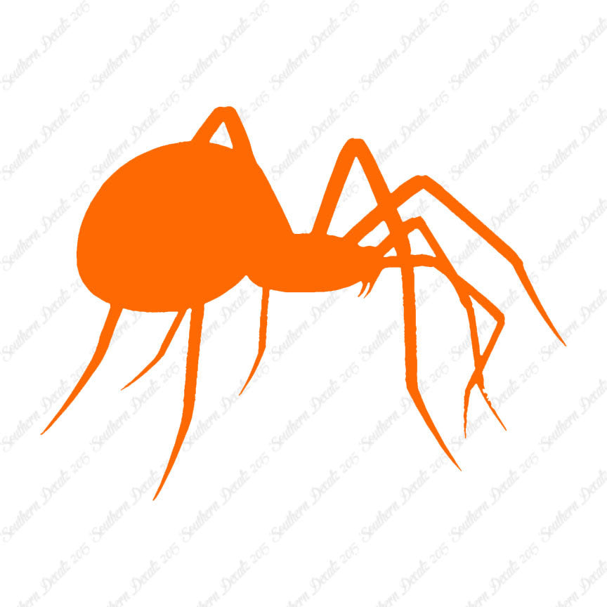 Spider Black Widow