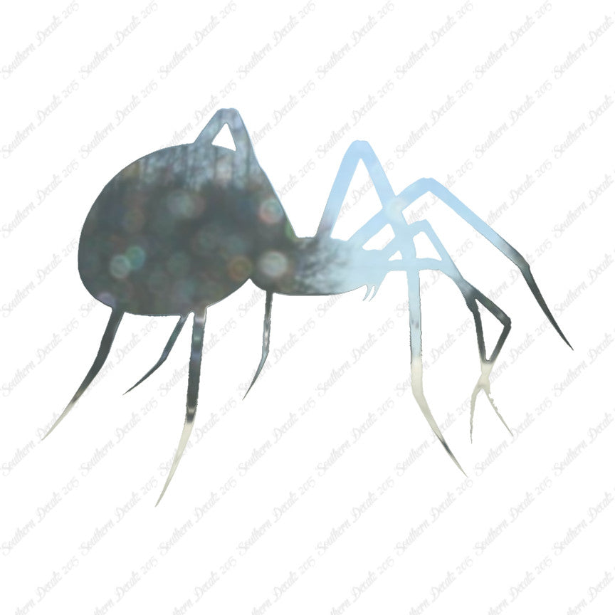 Spider Black Widow