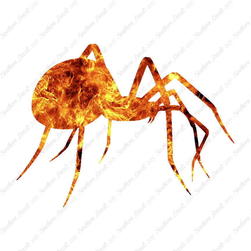 Spider Black Widow