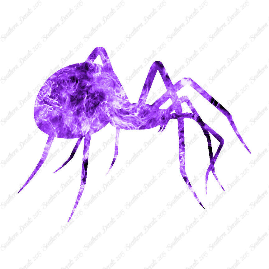 Spider Black Widow
