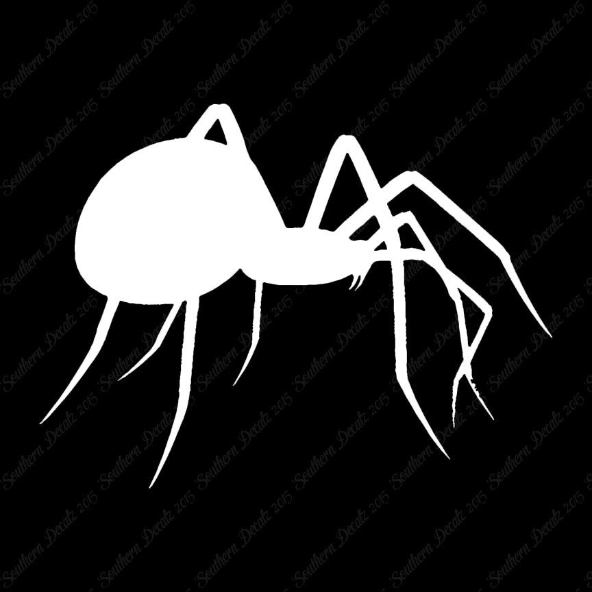 Spider Black Widow