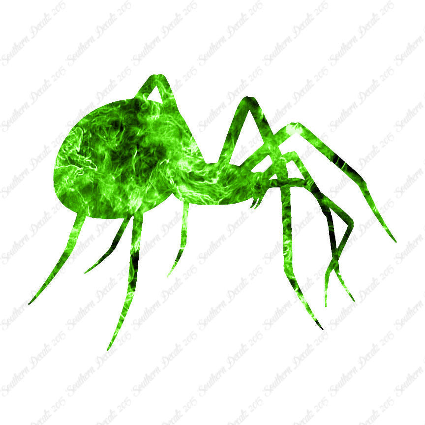 Spider Black Widow