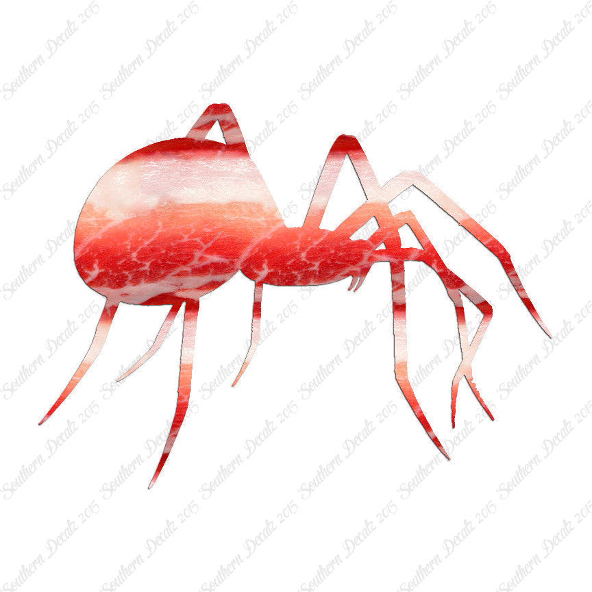 Spider Black Widow