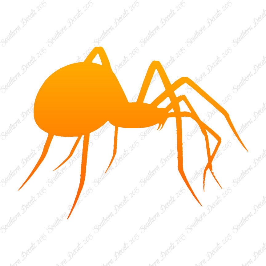 Spider Black Widow