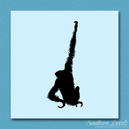 Monkey Swinging Chimp Chimpanzee