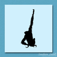 Monkey Swinging Chimp Chimpanzee