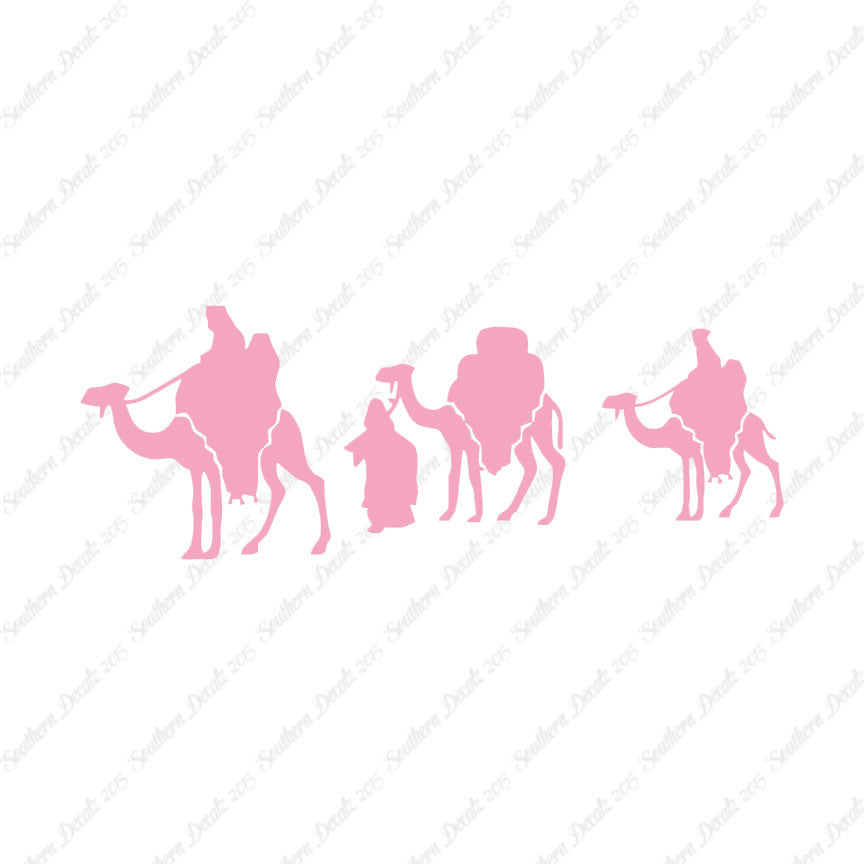 Three Wise Men Camel