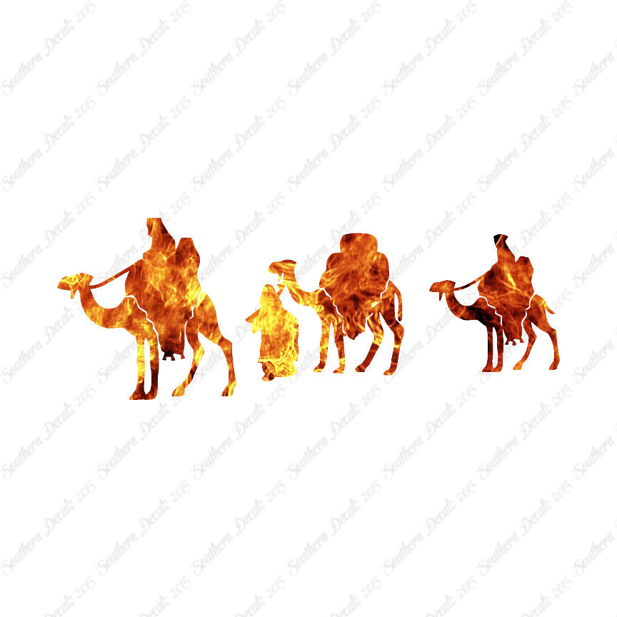 Three Wise Men Camel