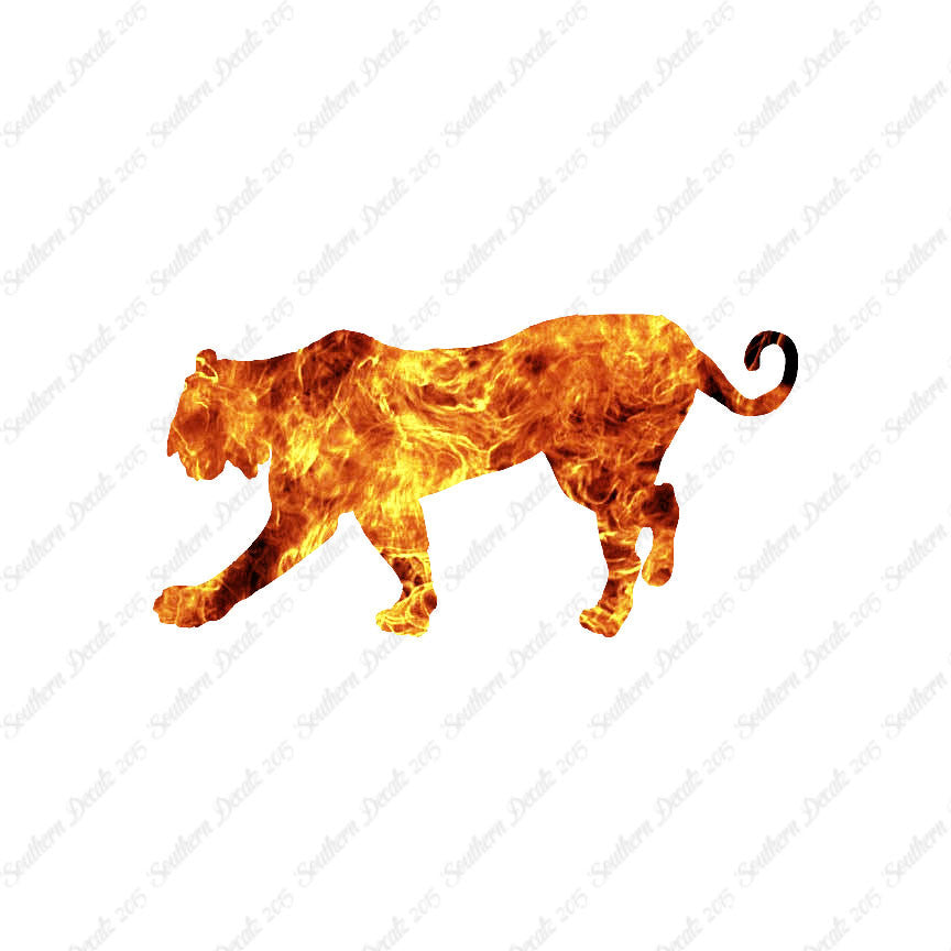 Big Cat Tiger