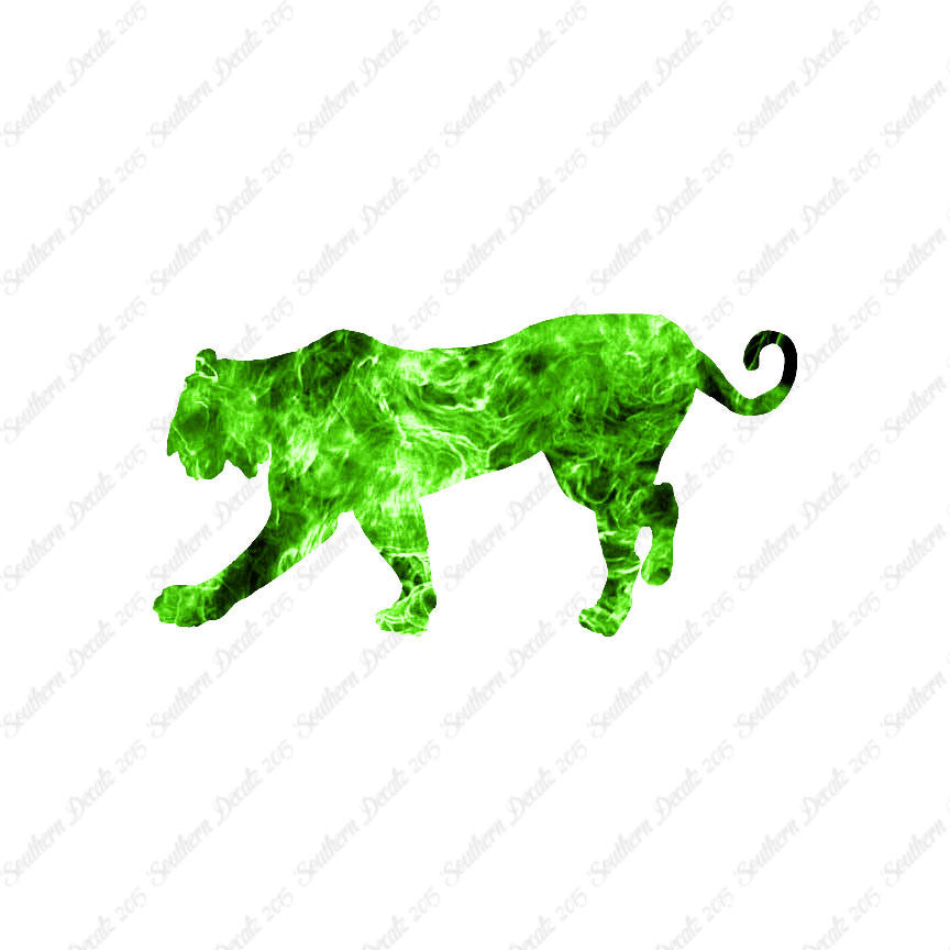 Big Cat Tiger
