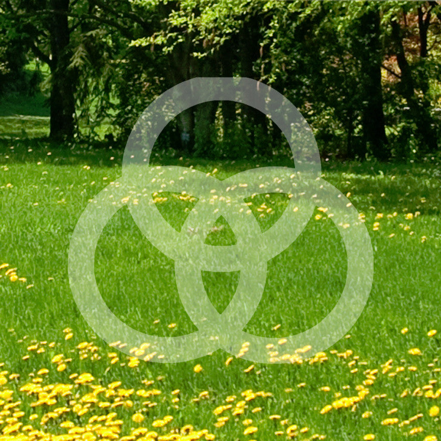 Trinity Knot Triquetra