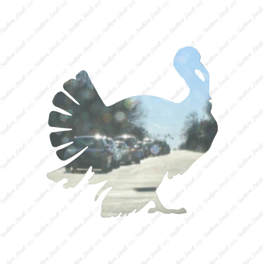 Wild Turkey Gobbler Hen